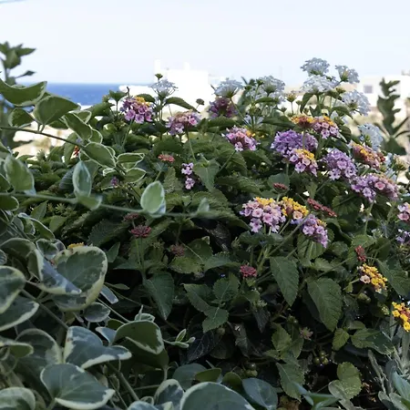 Apartment Aegeans Eye Azolimnos