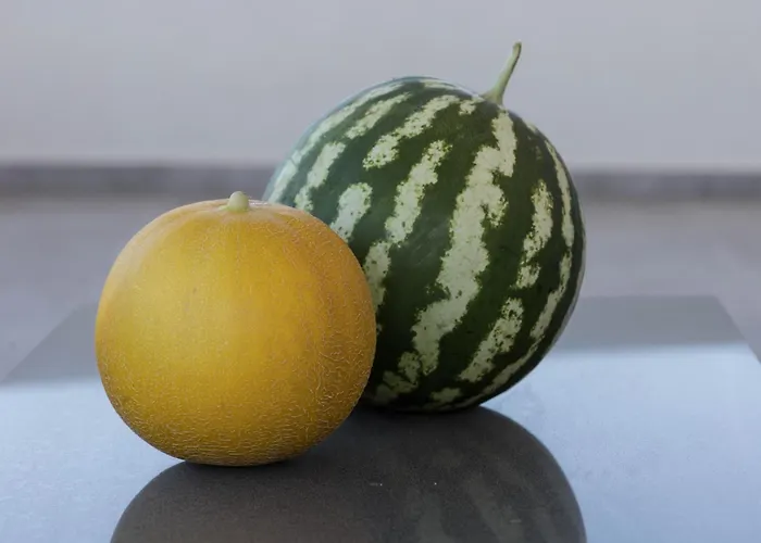 Aegeans Eye Lägenhet