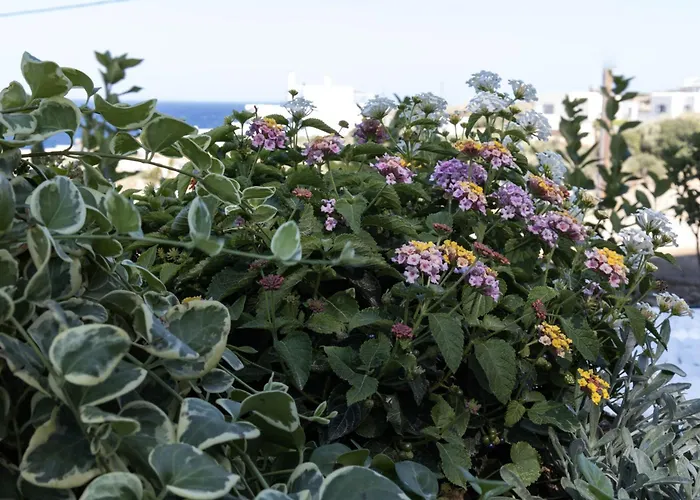 Lägenhet Aegeans Eye Azolimnos